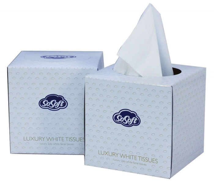 Cube Facial Tissues 2 Ply - White - Case of 24 x70