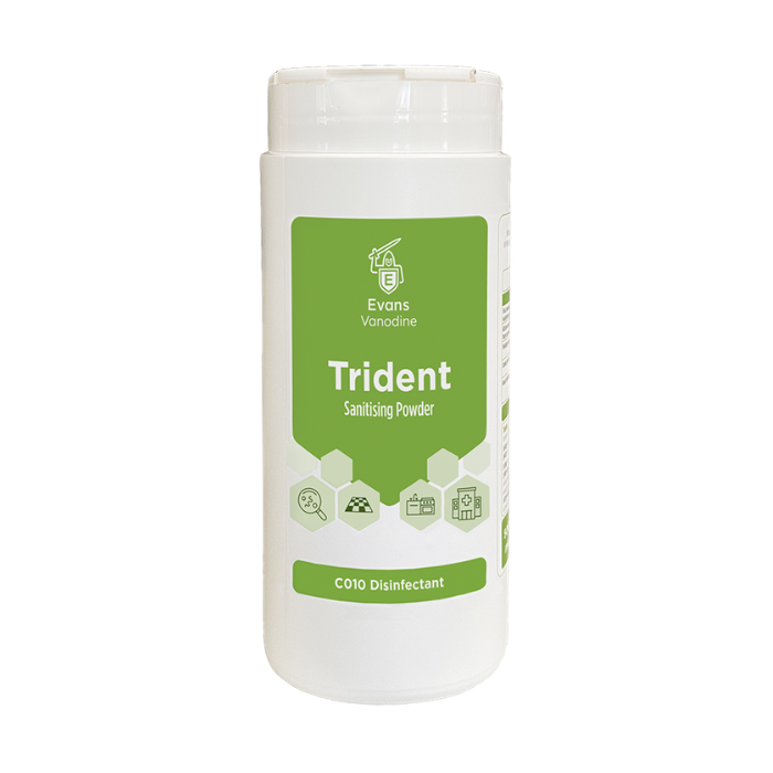 Evans Trident Sanitising Powder - 500g