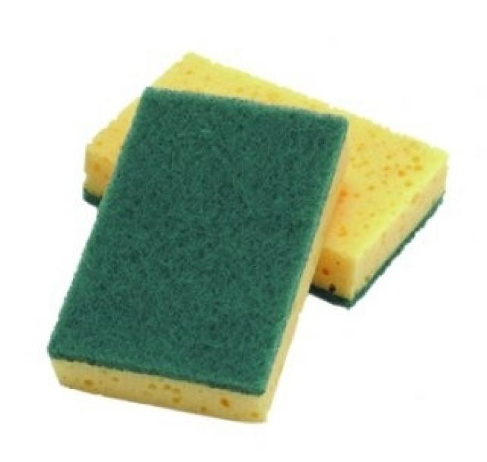 Sponge Scourer