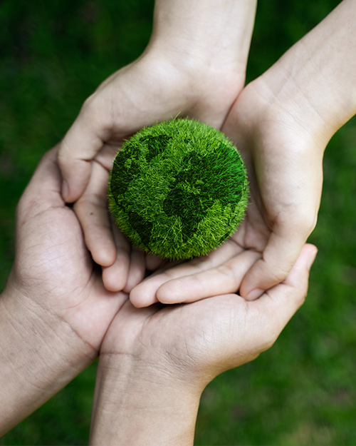 Environmental Responsibility