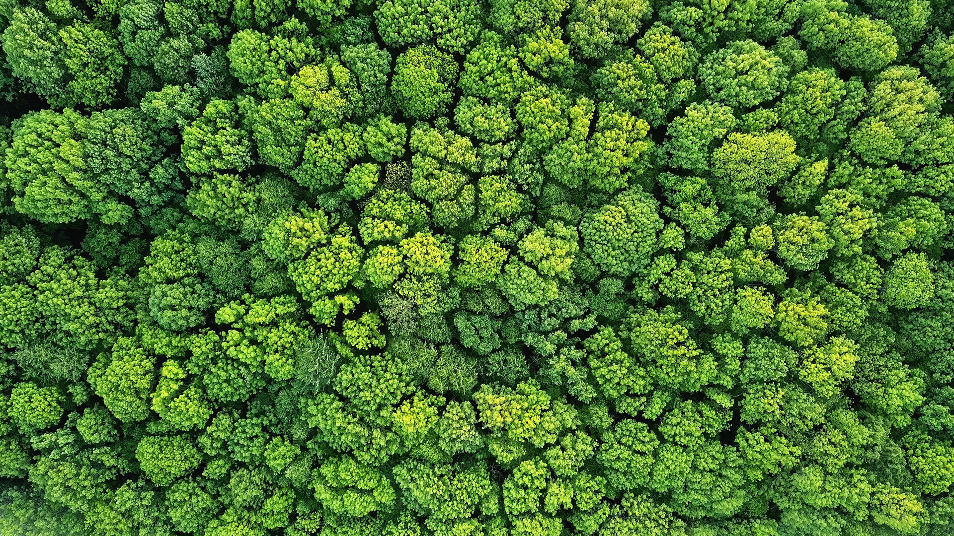 CleanHorizon: a smarter, more sustainable future for cleaning and hygiene