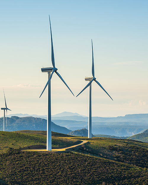 Environmental and sustainability