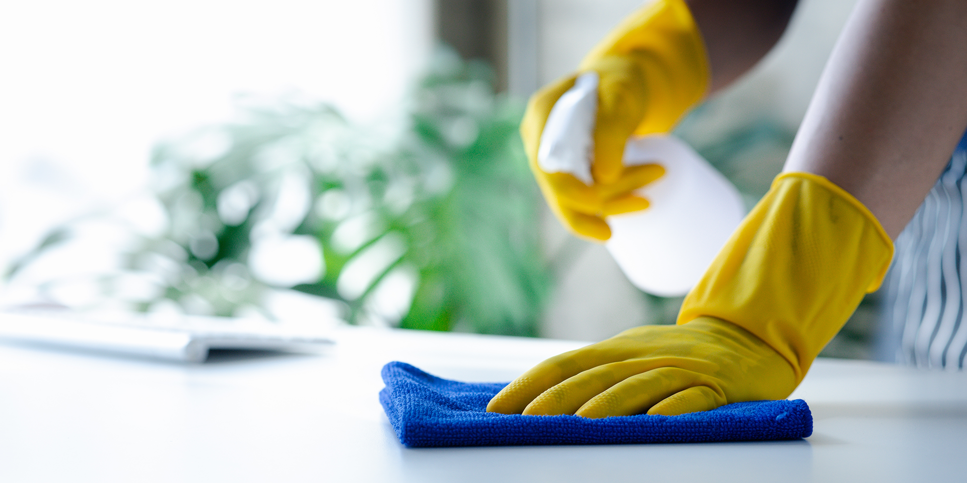 AUK Hygiene x CleanKing UK Success Story