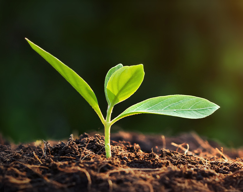 Q: How can we reduce our environmental impact and plastic waste while maintaining high hygiene standards in our hotel?